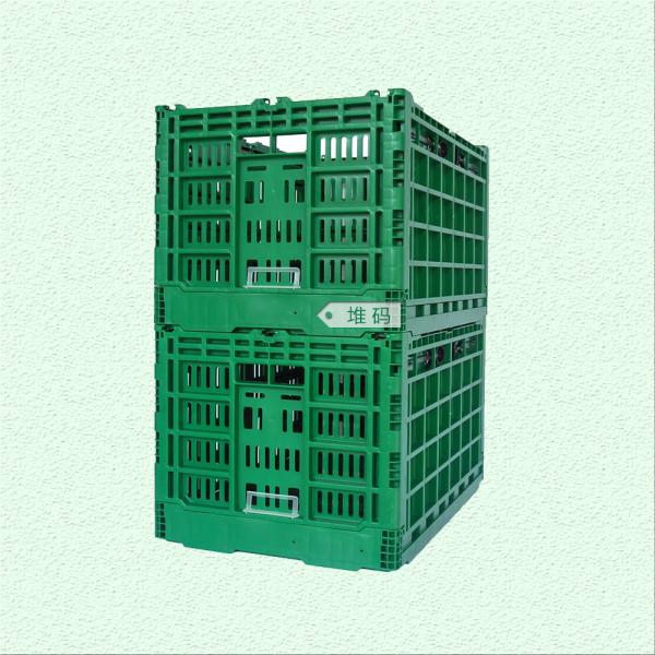 Green or Customized Collapsible Plastic Mesh Box for Vegetable and Fruit Distribution