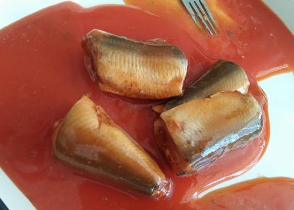 Pacific Mackerel Fish Canned Food In Hot Chili Tomato Sauce ISO Certified