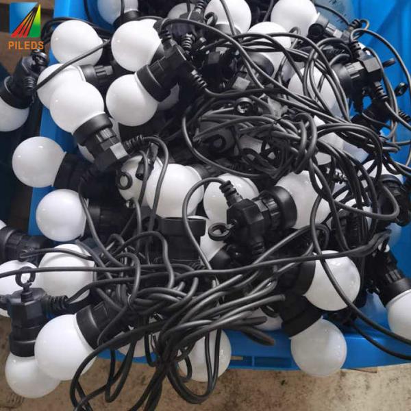 Commercial LED Point Light , Warm White festoon string lights outdoor 24V 10m 20m