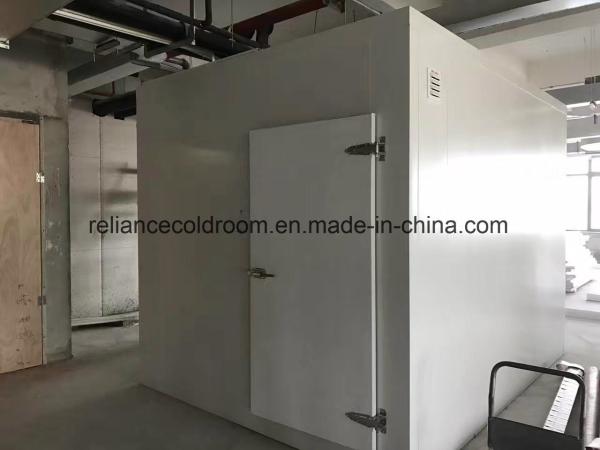 Quarto frio para refrigerante Freon Medicina Armazenamento de carne e peixe em restaurante