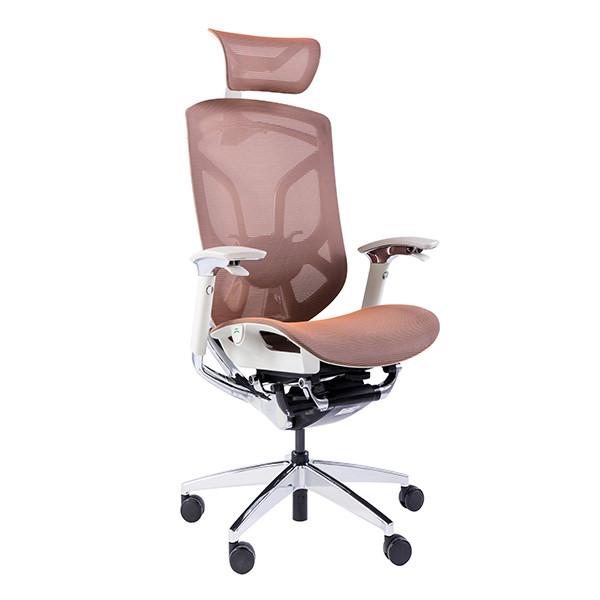 BIFMA Ergonomic Office Chair Lumbar Support Chromed Butterfly Mesh Chair