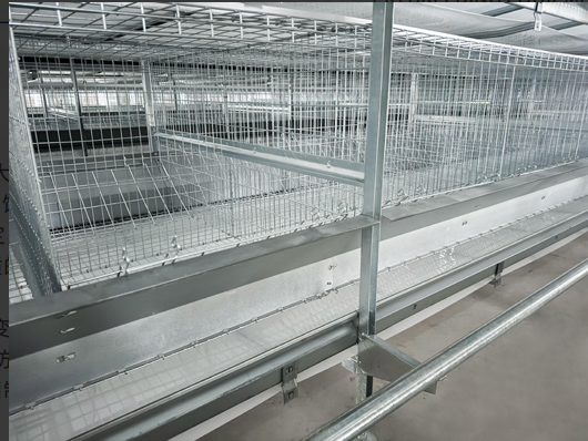 H Shape Egg Duck Cage Equipment Mobile Feeding System Anti Mold Waterline Duck Specific Fountain