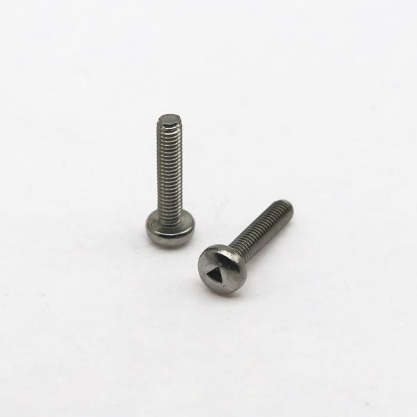 Industrial Custom Anti Theft Screw Stainless Steel Safety Fasteners
