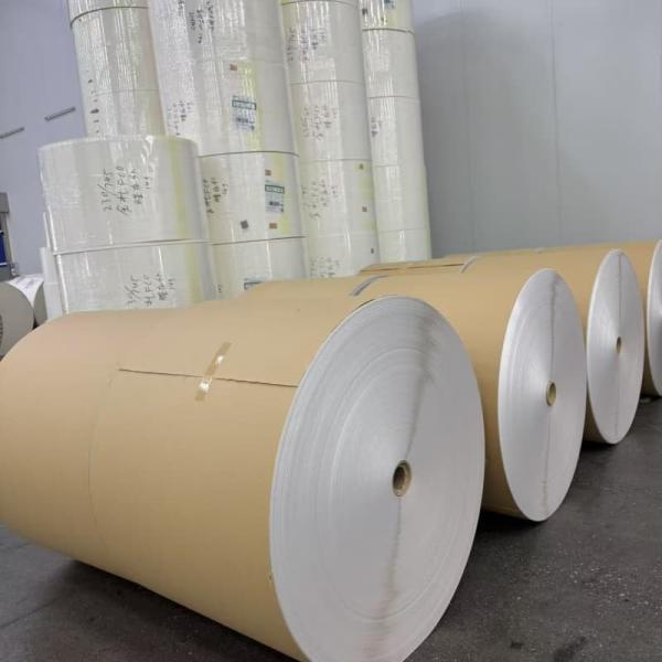 Greaseproof and Water Resistant PE Coated Paper Roll for Frozen Food Packaging Custom Sizes Available