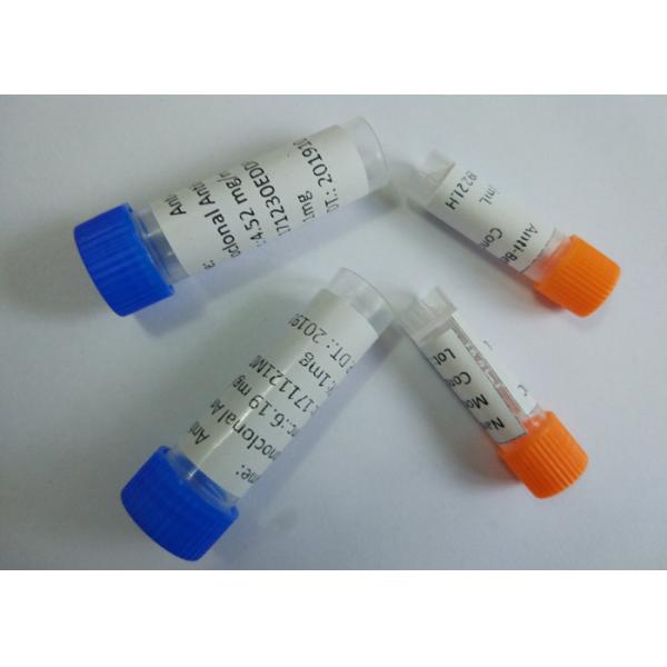 Очищенное антитело 1995мг/месяц анти--Фенсиклидине мыши моноклональное