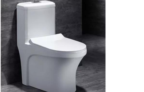 Compact One Piece Toilet Seat Single Piece Elongated 300/400mm