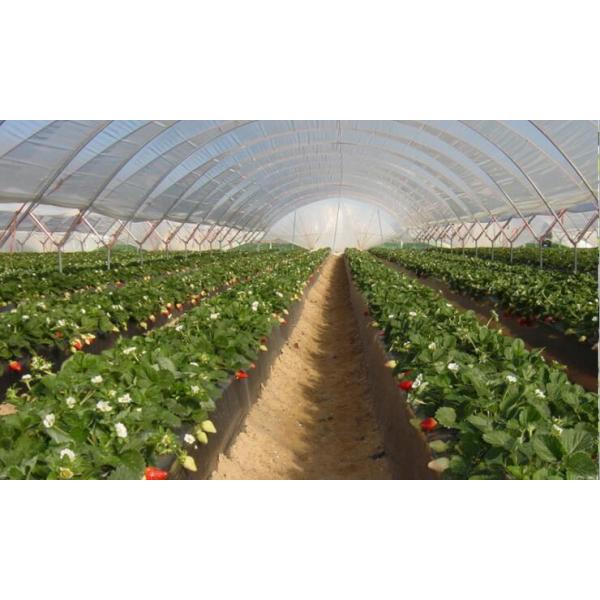 Белый Degradable Biodegradable фильм земледелия 12um