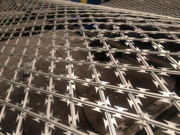 Hot Dipped Galvanized Razor Barbed Wire for Protective Isolation