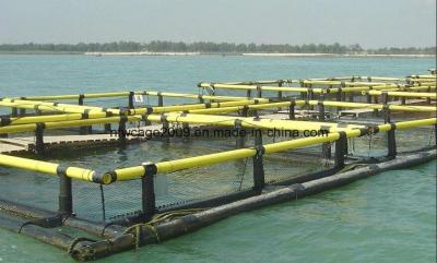 HDPE Pipe Square Aquaculture Fish Cage Floating For Floating Fish Farming System