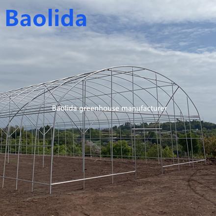 Singlespan Growing Farming Polyethylene Film Greenhouse For Vegetables