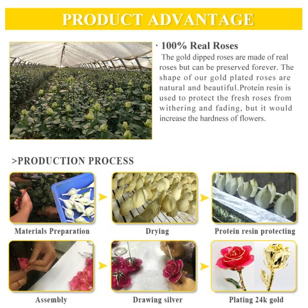 Hot Sale Gold Trimmed Rose Flower Girlfriend Gift 24k Gold Plated Natural Rose for Valentine's Day, Mother's Day Gifts