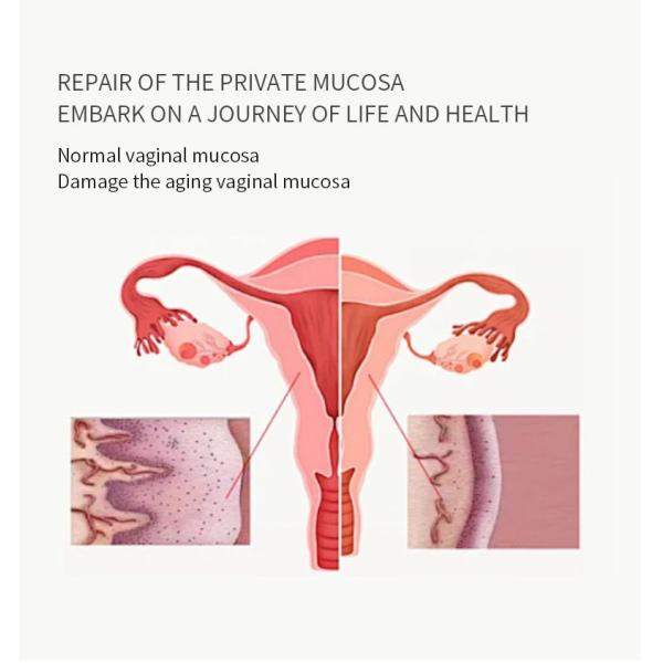 α-Arbutin Niacinamide Vaginal Health Products Moisturising Gel For Pigmentation Brightening Whitening