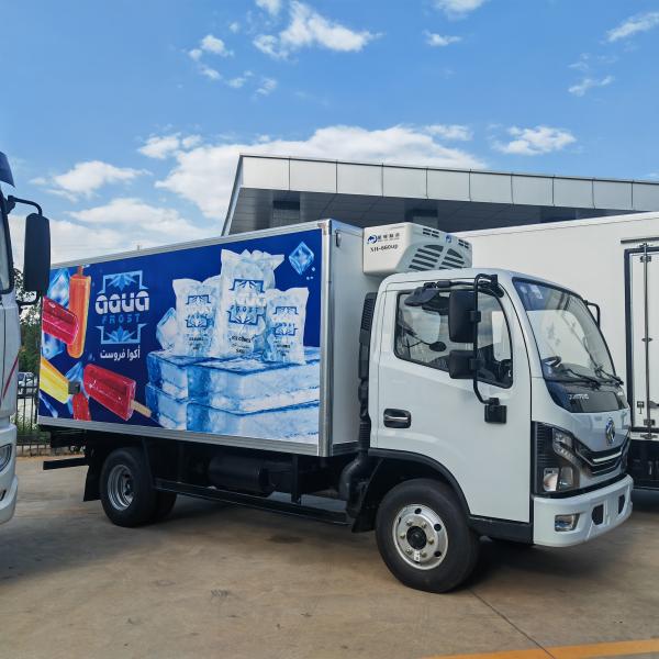 Dongfeng Dollicar 5 Ton Cold Storage Freezer Refrigerated Box Van Truck