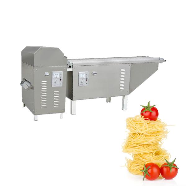 Linha de produção máquina do macarrão da massa dos SS 380V 50HZ do produto comestível 2t