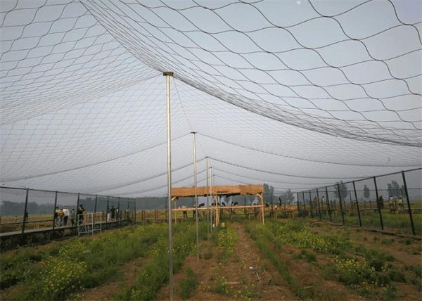 7X7 Stainless Steel Aviary Mesh Ferruled Bird Enclosure Netting For Zoo Animal