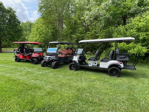 Carrinhos de golfe elétricos de lítio Fabricação personalizada Off Road Street Legal