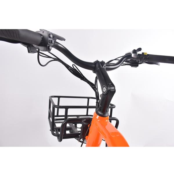 OEM Bag Cargo E Bike For Commuter Food Delivery 750W