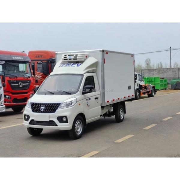 Customized Frozen Meat Delivery Trucks 4.2m Pure Electric Refrigerated Truck
