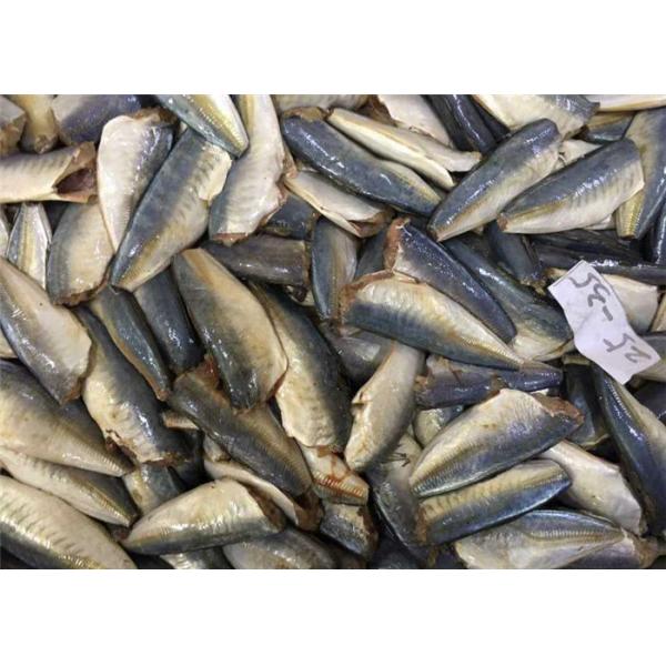 Лошадь чистого веса Тихая океан HGT 25G 35g 95% замороженная - скумбрия