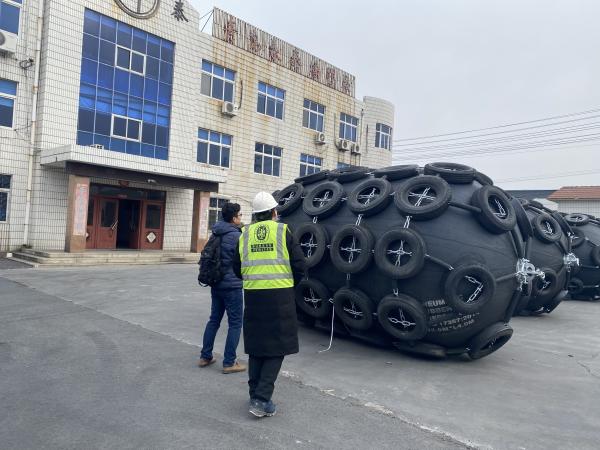 Protects Long Ship With Pneumatic Boat Fender / Marine Rubber Fender