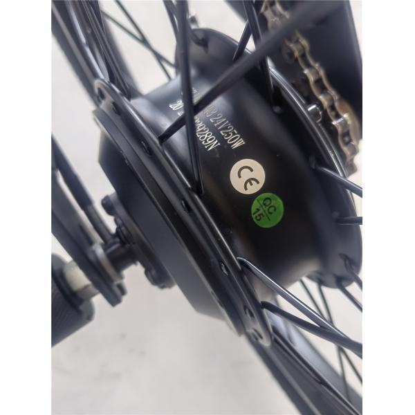 KT Controller 2024 250W 24V 10.4 A PAS Single Speed Electric Bike with Hidden Battery