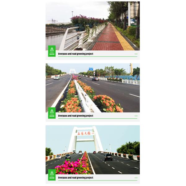 Self Watering Adjustable Railing Plastic Hanging Flowerpot Rail Planter Design System