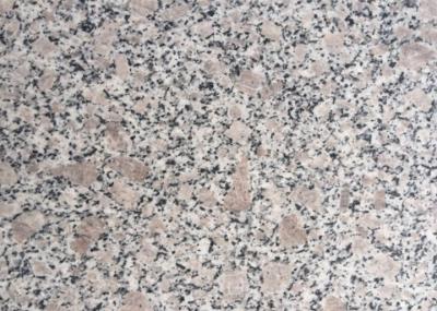 GranitE G383 Material Bianco Antico Granite Slab Grey Flower Pearl Color