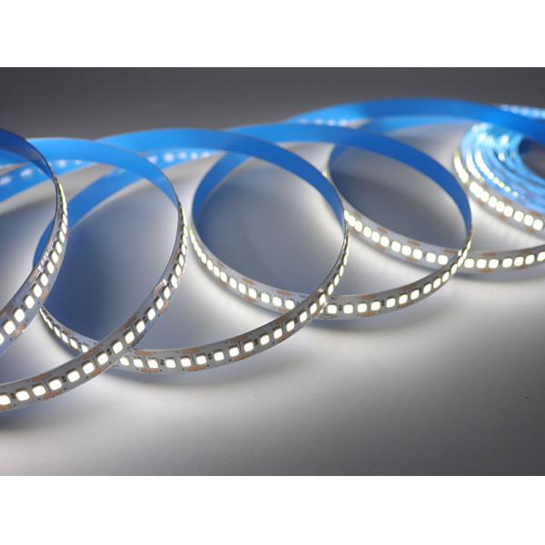 10 мм 240 leds самоклеящаяся светодиодная лента 22W / M теплая белая холодная белая светодиодная лента