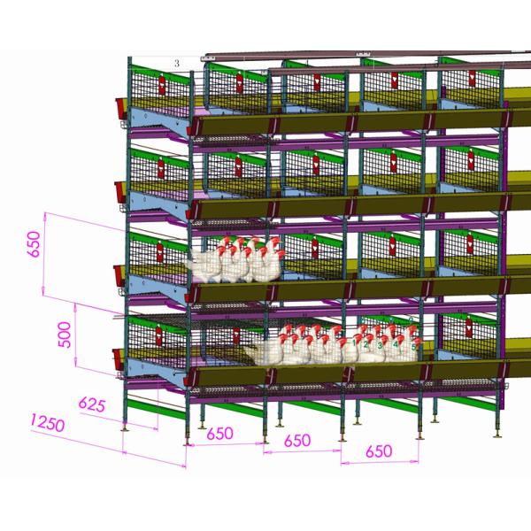 144 Birds H Type Chicken Cage , Q235A HDG Chicken Laying Eggs Cage