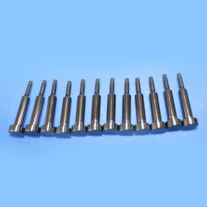 Tungsten Carbide Punch