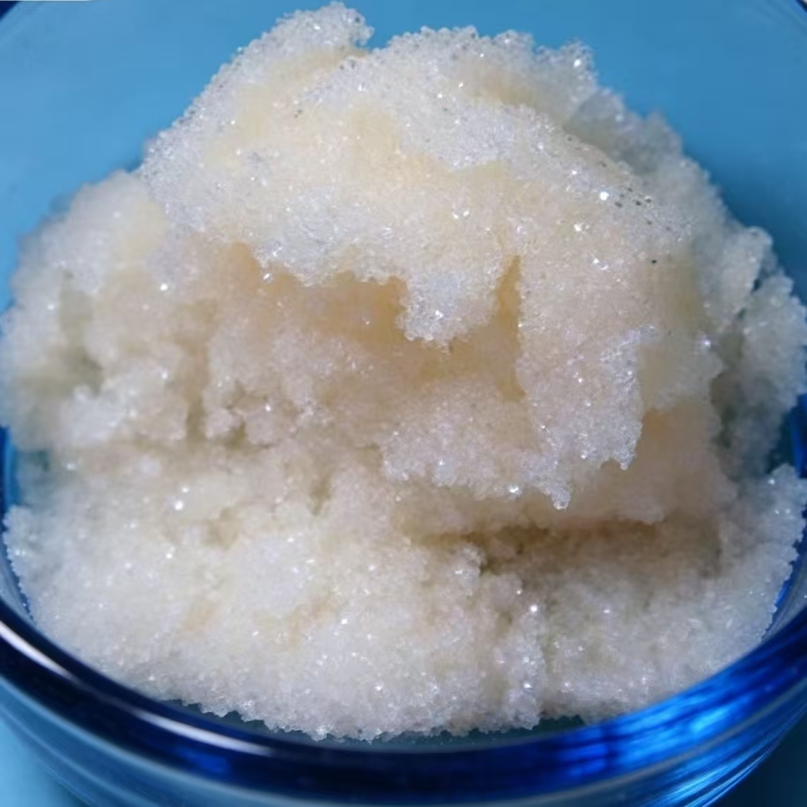 YZ002 Strong Base Anion Resin for Pure Water Purification Equal to Duolite a 113