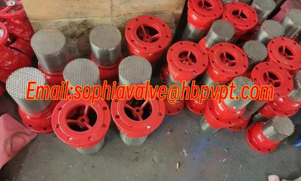 ANSI H42X GGG50 resilient seal foot valve from Hebei