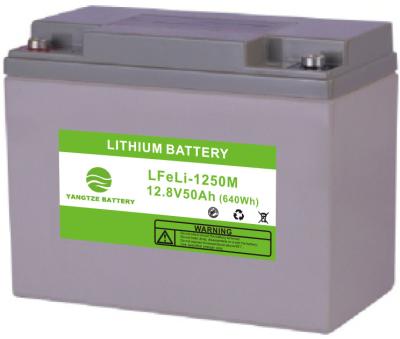 Deep Cycle LiFePo4 Lithium Ion Solar Battery 12V 50AH Solar Panels Energy storage
