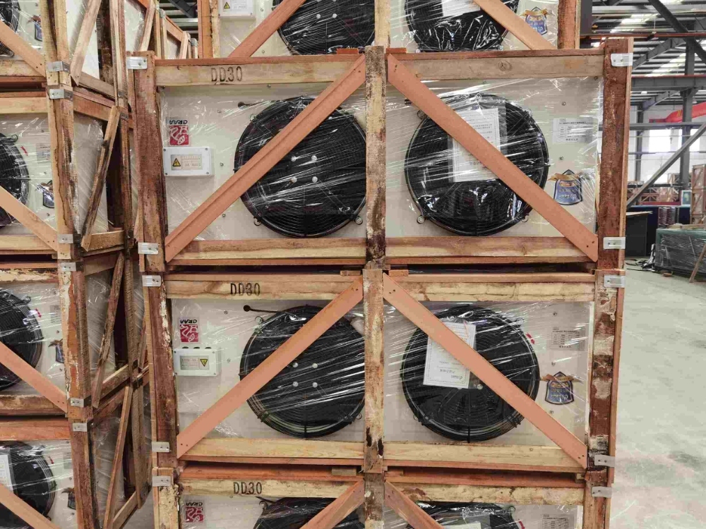 Compact DD30 Air Cooler for Small Commercial Cold Rooms