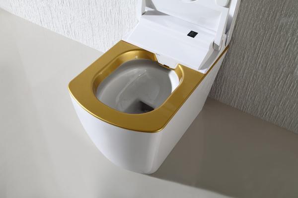 110V / 220V Electric Smart Toilet Smart Bidet Toilet Automatic Deodorization intelligent toilet