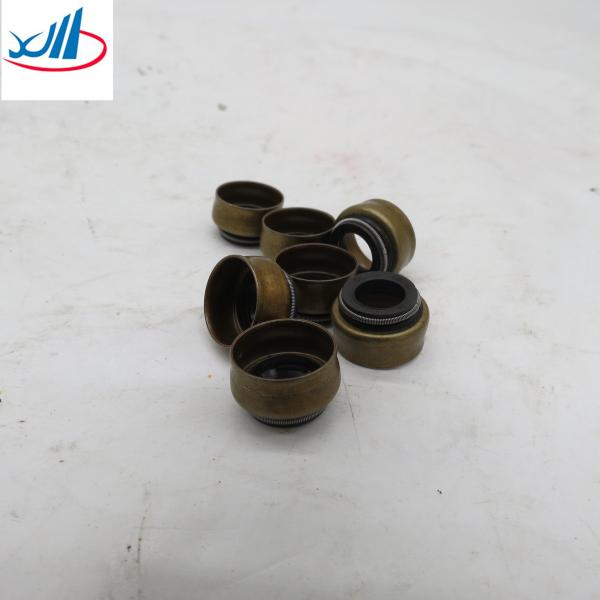 Iron Material Engine Valve Oil Seal 4003966