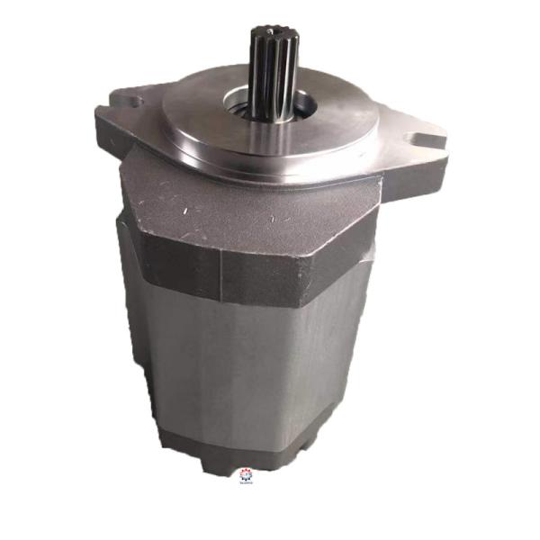 TSP-8D215 Gear Pump 803076108 1142001001 Spare Parts For Loader