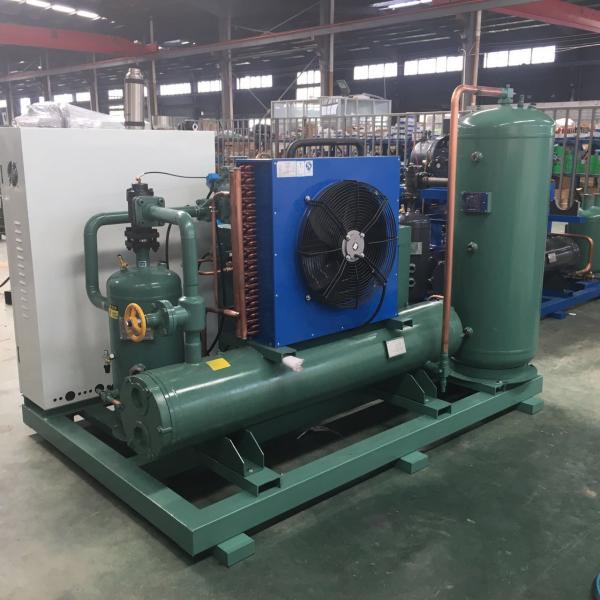 Chinese Manufactory Low Temperature  Single Screw Compressor Condensing Unit