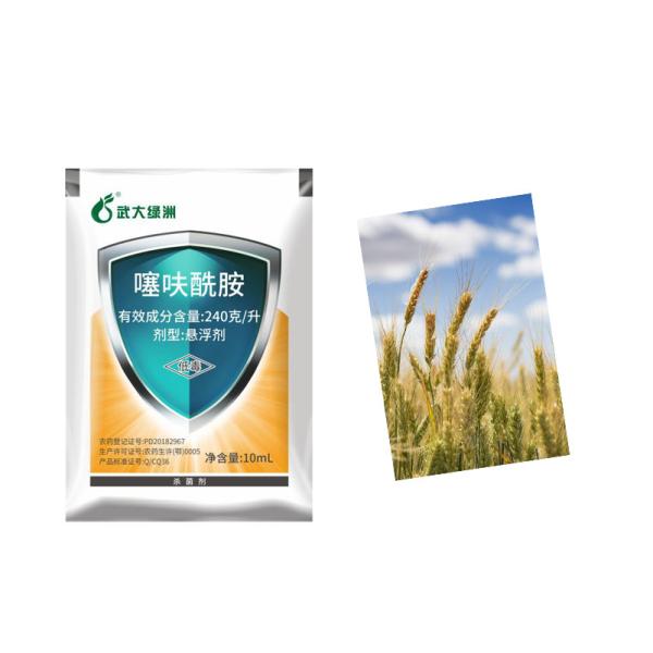 Tifluzamida SC Fungicida Biológico Tratamento da doença da vesícula biliar da bainha do arroz
