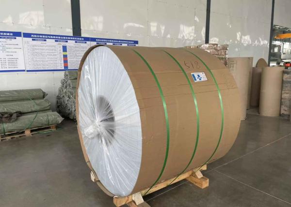 Coated aluminum sheet and coil for production Patio Cover