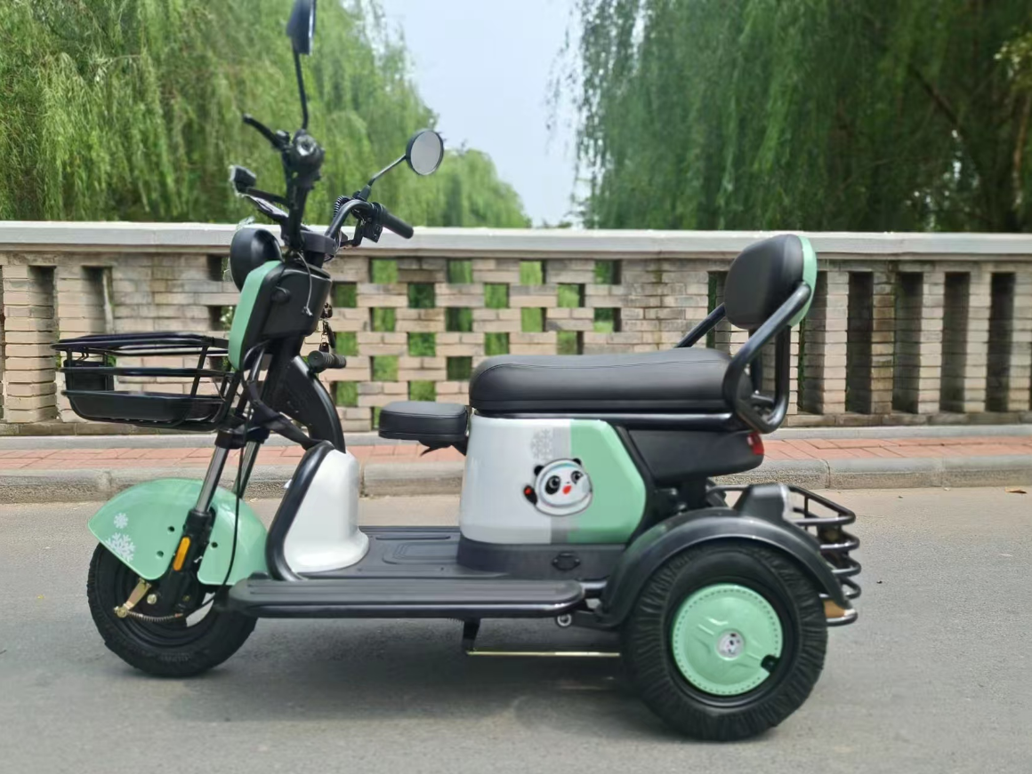 Leisure 3-Wheel Mobility Electric Tricycle with Hydraulic Front Fork, 300-8 Tubeless Iron Wheel, and 50-60km Driving Range