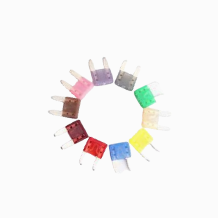 Small Nylon Blade Fuse