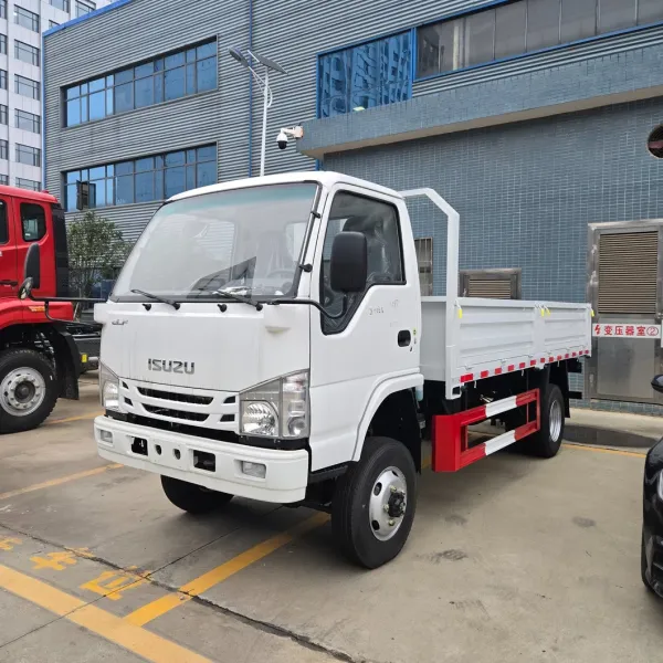 Isuzu 4X2 General Cargo Truck Small General Cargo Truck