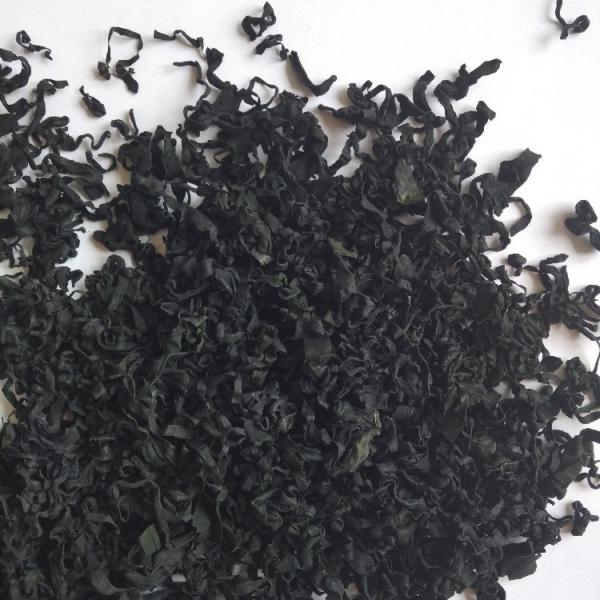 Supply Tasty Food Chuka Seaweed Dried Wakame Suitable for NORMAL Gourmet Experience