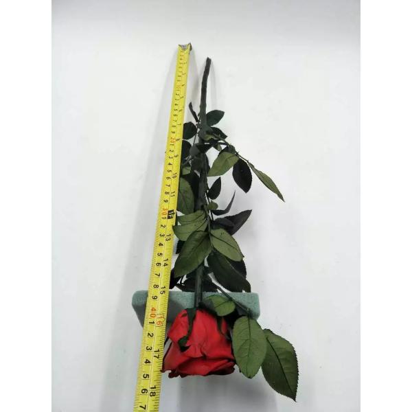 christmas ornaments long stem real touch natural flowers preserved roses