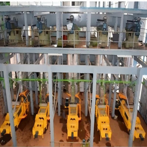 Fully Automatic Palm Oil Processing Machine - 1-2T/H High Efficiency Edible Oil Production Line