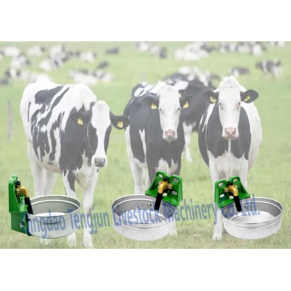Flat SS304 Cow Water Bowl Durable High Strength Agricultural Water Trough