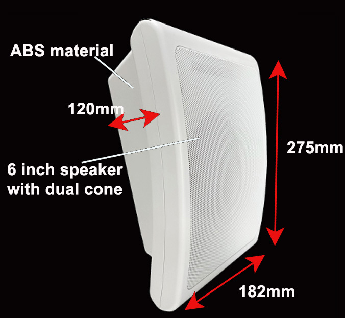6W 3W 6 Inch Woofer Speaker Dual Cone Pa Speaker Wall Mount