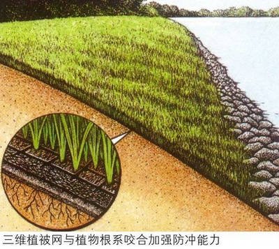 Online Technical Support 3D Erosion Control Geonet for Road Mountain Slope Protection