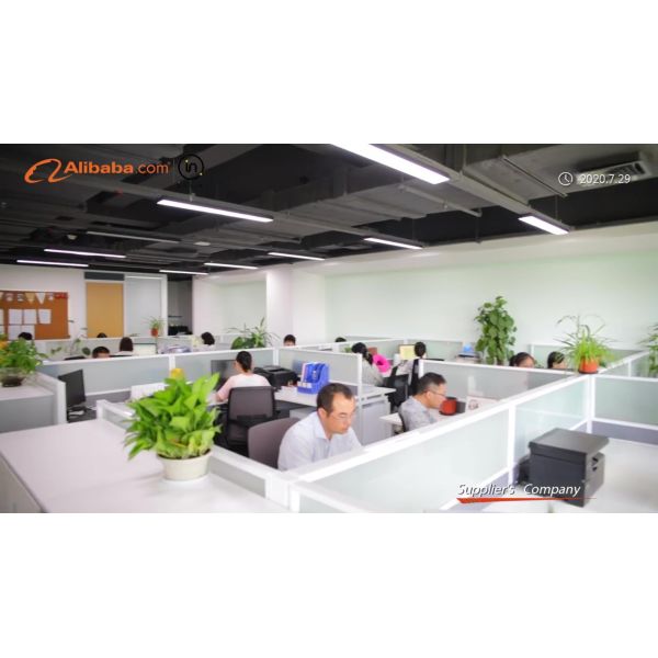 High Purity Alkaline Protease Detergent Enzyme Powder with 12 Months Shelf Life in 25kg Paper Box